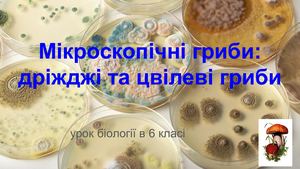 Мікроскопічні гриби