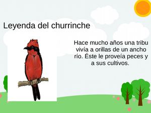 Churrinche