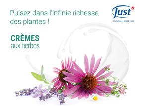 Livret Crèmes Aux Herbes