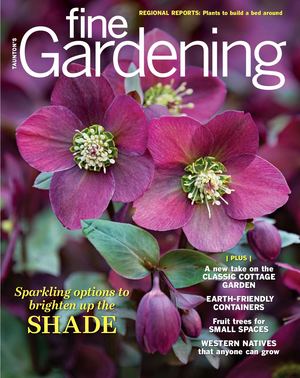 Fine Gardening ISSUE 197 - Preview
