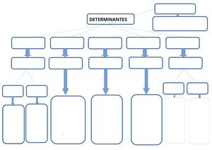Cuadro Mudo Determinantes