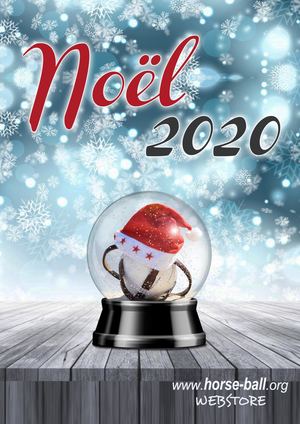 Catalogue Noel 2020