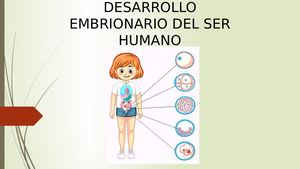 2do Bgu Desarrollo Embrionario