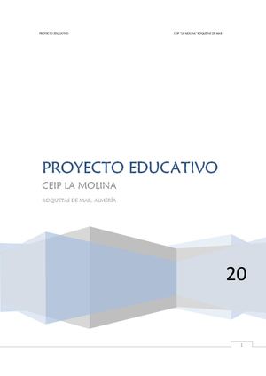 Proyecto Educativo 2020