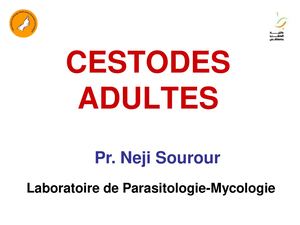 Les Cestodes Adultes