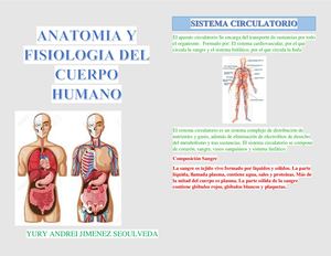 Anatomia Y Fisio