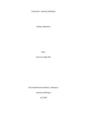 Proyecciones y descripciones oseas