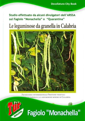 Decollatura - Il Fagiolo Monachella