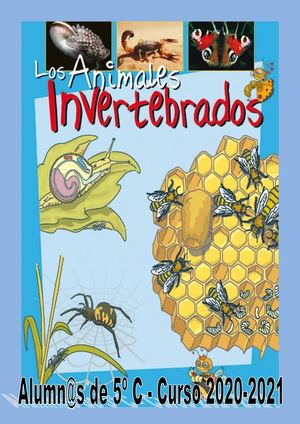5º C - ANIMALES INVERTEBRADOS