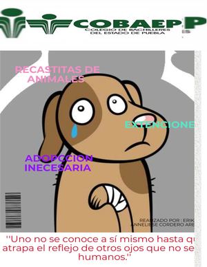 Maltrato Animal Oficial