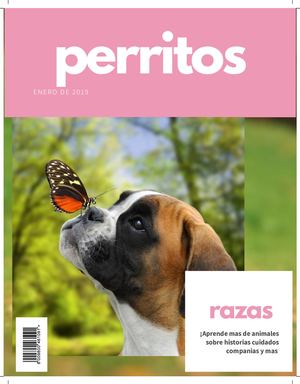 Informatica Perritos