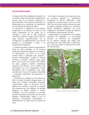 Plantas Medicinales