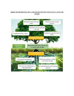 ÁRbol De Problemas De La Degradación De Suelos En La Zona De Urabá