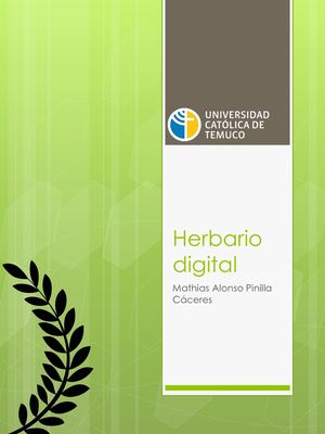 Herbario Digital Mathias Pinilla Caceres