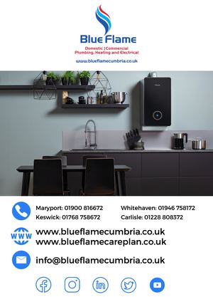 Blueflame New Boiler Brochure V6