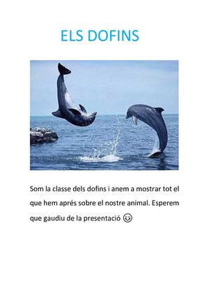 Revista Digital Dofins