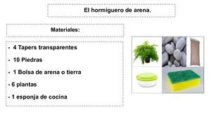 Camilo Daniel Miranda Beltrán