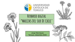 Herbario Digital Jorge Manriquez