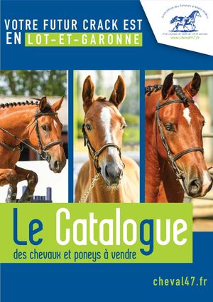 CATALOGUE CHEVAUX A VENDRE 2020