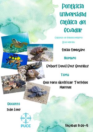 Guía Para Identificar Tortugas Marinas