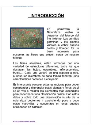 las flores y sus partes