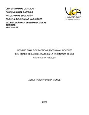 Informe Final Práctica Profesional Docente