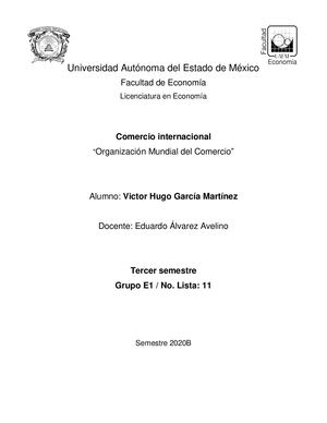 La Organización Mundial Del Comercio