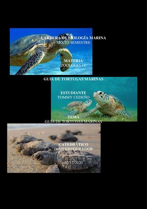 Manual De Tortugas Marinas