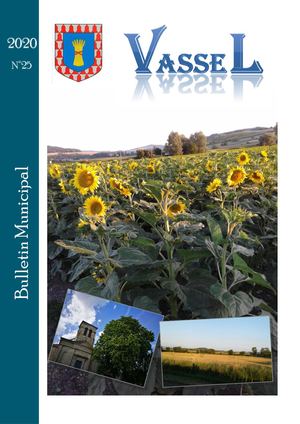 Bulletin Municipal 2020