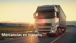 Mercancias En Transito