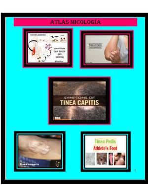 Atlas De Micologia