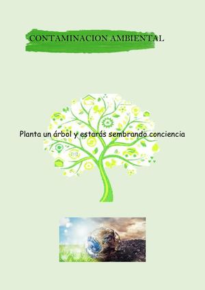 Contaminación Ambiental