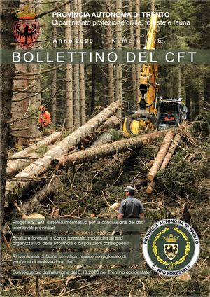 Bollettino CFT anno 2020, numero 2