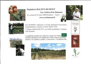 (ARBO-33)-Pépinière Baltet - Dumont