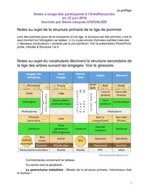 (ARBO-33)-Structure primaire -tige du pommier