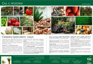 Сад с иголочки.