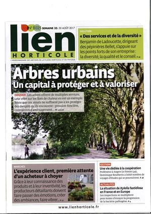 Arbres urbains, un capital à protéger et à valoriser