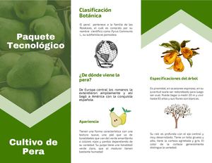 Paquete Tecnológico de la pera