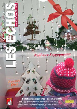 Les Echos N56