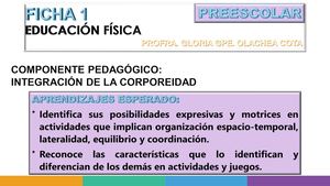 Ficha 1 Equilibrio Congelao