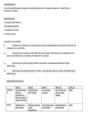 EXPERIENCIA. REPRODUCCIÓN ASEXUAL SOFÍA VELA