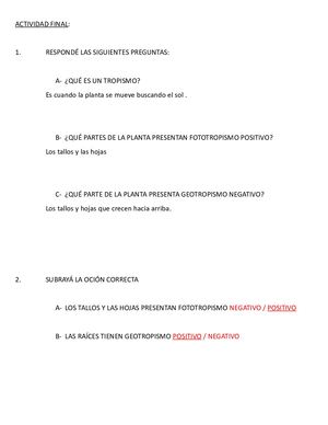 MOVIMIENTOS DE LAS PLANTAS ACTIVIDADES PARA PENSAR GALO ALLENDE