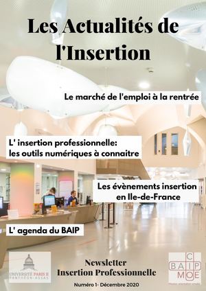 Newsletter Insertion Pro (1)