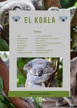 Revista Animales Salvajes