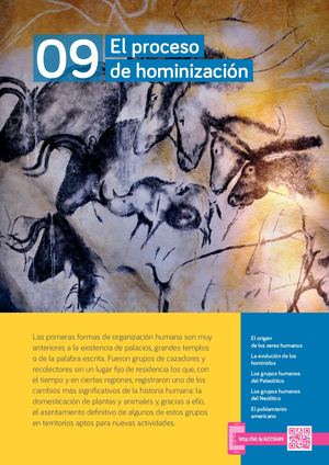 Proceso De Hominizacion