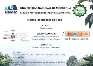Mapa De Nanobiosensores ópticos