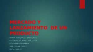 Mercado Y Lanzamiento De Un Producto