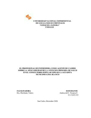 El Profesional de Enfermería como agente de cambio