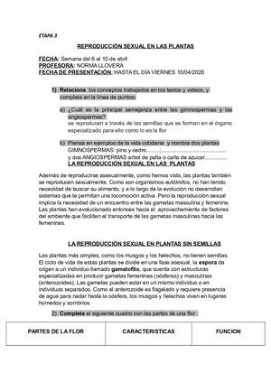 Paula Sofía Suárez, 3* A