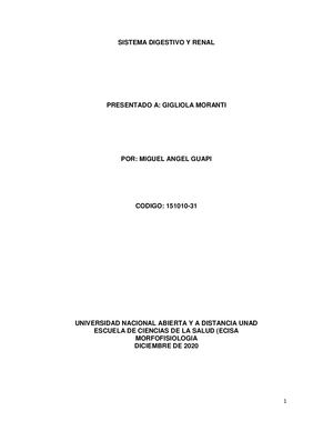 Sistema Renal Y Digestivo